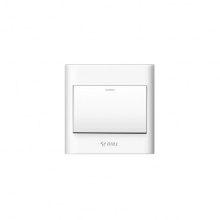 公牛(BULL)一位多控开关带荧光开关 白 10A 250V G06K134Y