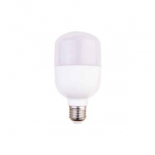 三雄极光 金品LED柱形泡15W 6500K E27 乳白色 PC罩