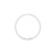 佛山照明FSL T5环形三基色荧光灯 彩盒 40W 白光