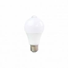 绿锋 LED人体感应球泡灯泡 BB305CW 3W 65K