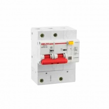 德力西 漏电断路器 DZ47LE-125 2P D型 100A
