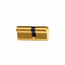 金点原子6070 中心双开插芯锁锁芯(带盖)