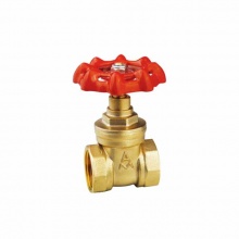 AMICO/埃美柯 169系列黄铜闸阀 内螺纹水管手轮控制铜阀门 Z15W-16T-DN50