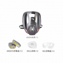 3M防毒面具6800+6002cn滤盒全面具喷漆防尘防毒气体防护面具面罩,七件套